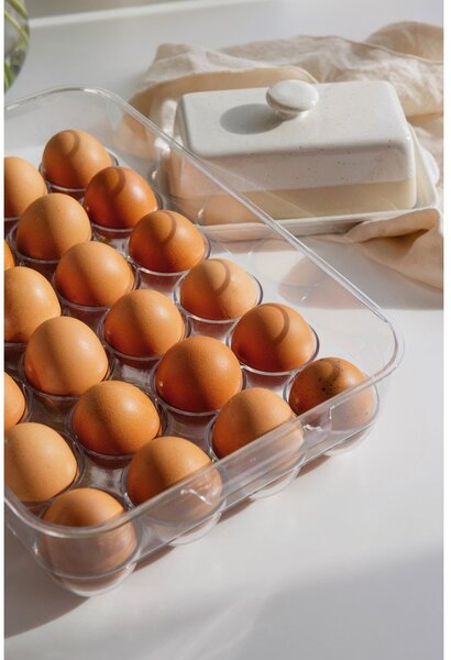 Plastový organizér do chladničky na vajíčka 33x21 cm – Casa De Engel