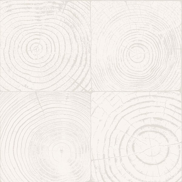 Sivobiela vliesová tapeta imitacia dreva s letokruhmi 347546, Matières - Wood, Origin