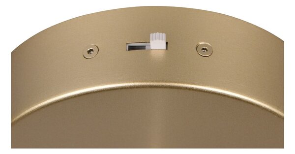 LED závesné svietidlo v zlatej farbe ø 30 cm Cala – Trio Select