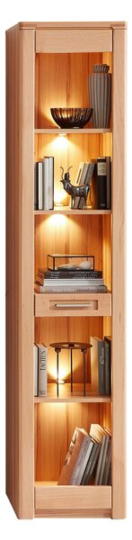REGÁL, jadrový buk, 43/203/40 cm Carryhome - Obývacie zostavy