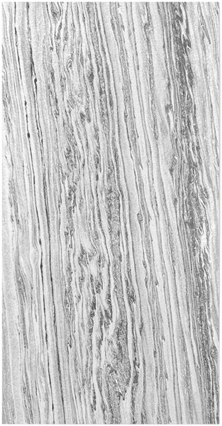 AKUSTICKÝ PANEL velikost: 52/104/0.7 cm Jangal - Online Only bytové doplnky, Online Only