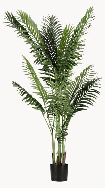 Exteriérová rastlinná dekorácia Kenzia, V 160 cm