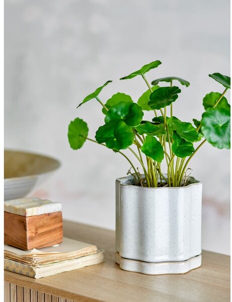 Kameninový kvetináč na bylinky ø 13 cm Argyle – Bloomingville