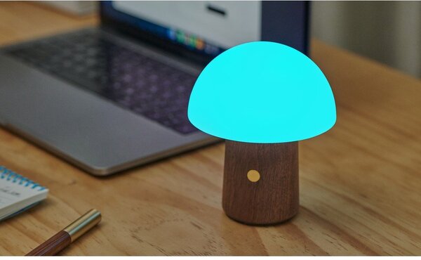 Biela/v tmavoprírodnej farbe LED stolná lampa (výška 12,5 cm) Alice Mushroom – Gingko