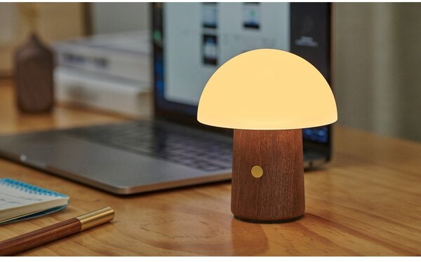 Biela/v tmavoprírodnej farbe LED stolná lampa (výška 12,5 cm) Alice Mushroom – Gingko