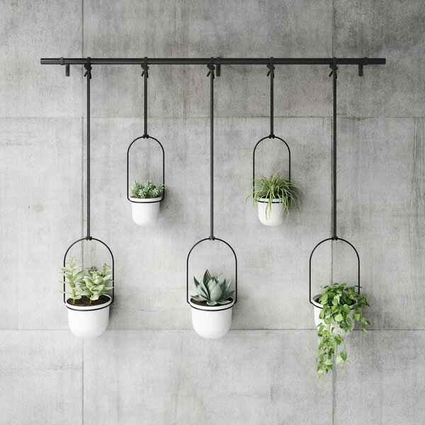 Plastové obaly na kvetináče v súprave 5 ks na bylinky/závesné ø 7,5 cm Triflora – Umbra