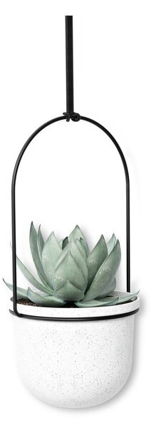 Plastové obaly na kvetináče v súprave 5 ks na bylinky/závesné ø 7,5 cm Triflora – Umbra