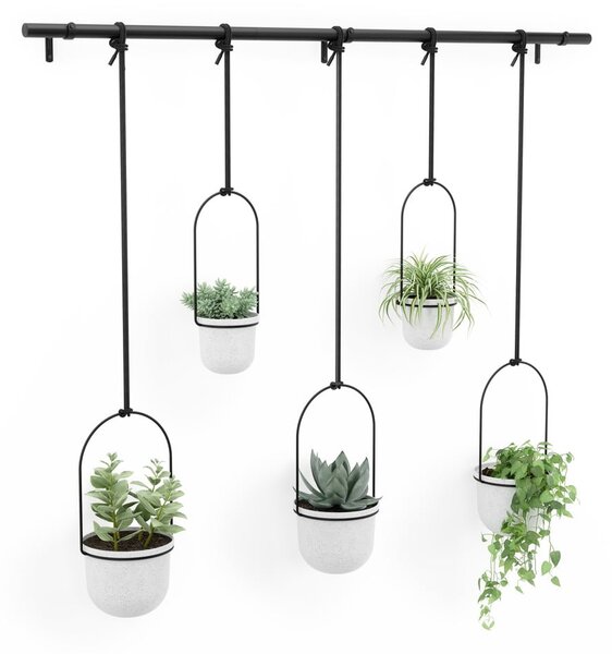 Plastové obaly na kvetináče v súprave 5 ks na bylinky/závesné ø 7,5 cm Triflora – Umbra
