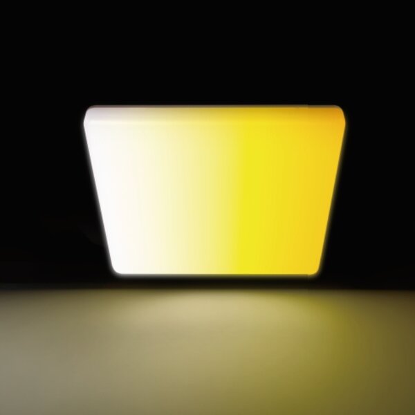 Aigostar - LED Kúpeľňové stropné svietidlo LED/18W/230V 3000K-6500K IP54 + diaľkové ovládanie