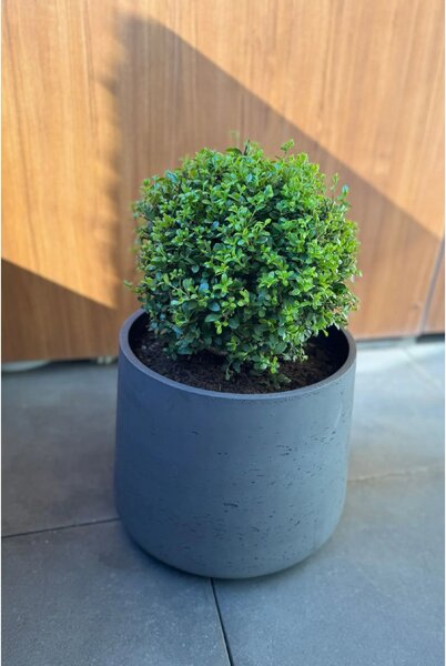 Kvetináč TROPICO, sklolaminát, výška 29 cm, antracit