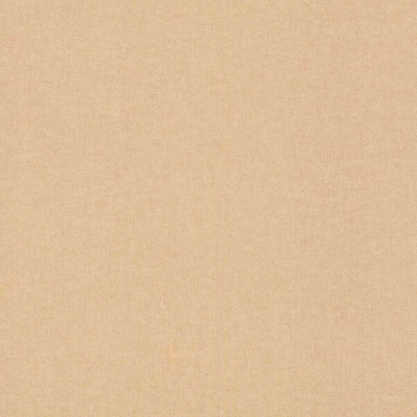 RASCH | Vliesová tapeta na stenu Kids World 2 252866 | 0,53 x 10,05 m | hnedá