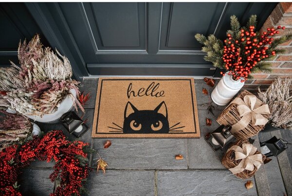 Rohožka 70x45 cm Mix Mats - Hanse Home