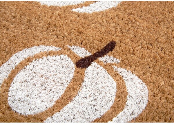 Rohožka 45x75 cm Mix Mats - Hanse Home