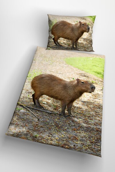 3d obliečky Capybara 140x200 cm