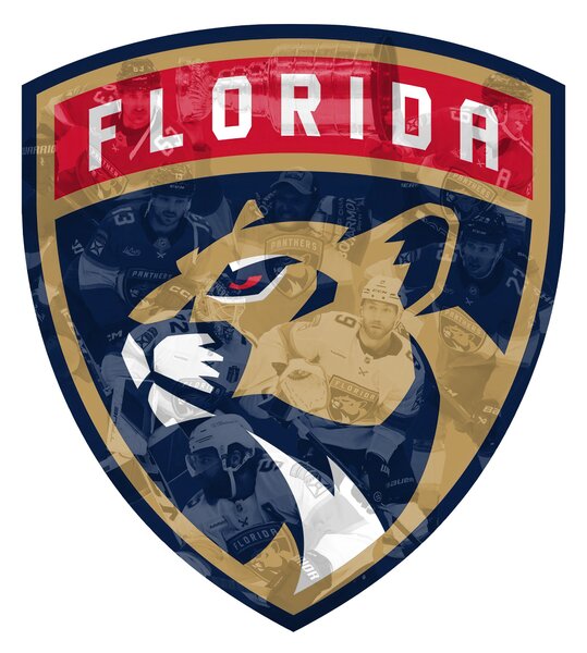 Farebný HDF obraz logo Florida Panthers