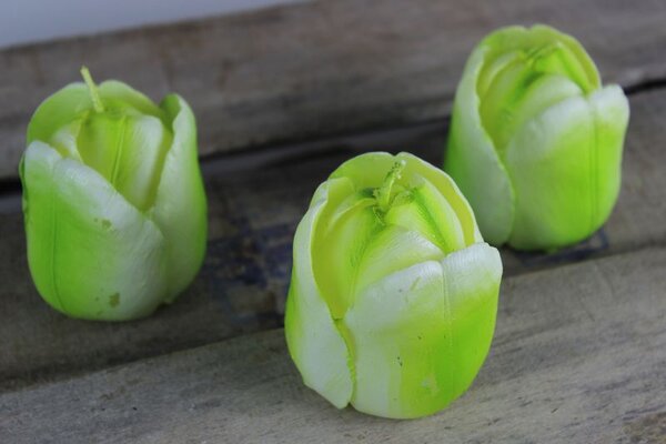 Zelené sviečky v tvare tulipánu 3ks