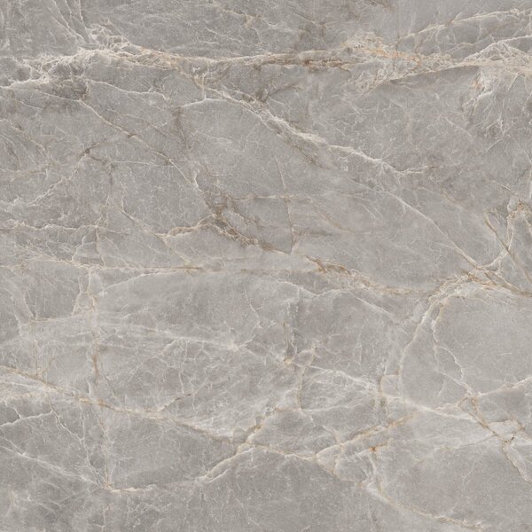 Majestic Grey Silky 120x120 R
