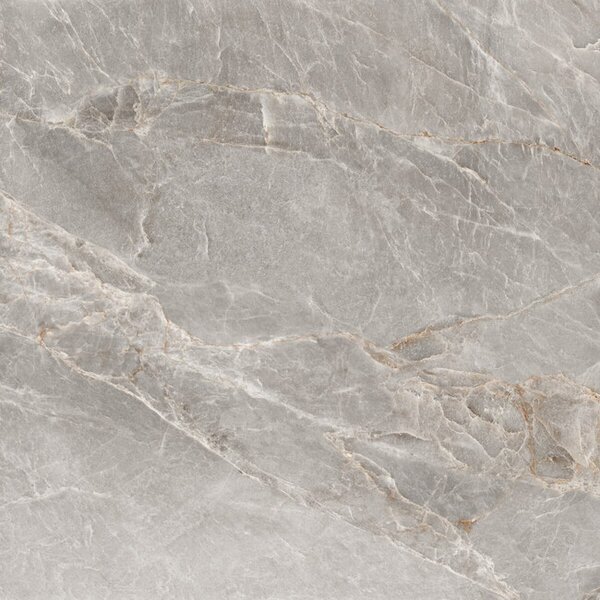 Majestic Grey Silky 120x120 R