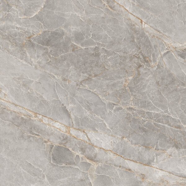 Majestic Grey Silky 120x120 R