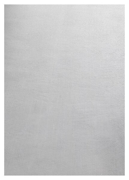 Ayyildiz, Kusový koberec Sky 5400 Silver, 60x110, šedá, obývacia izba