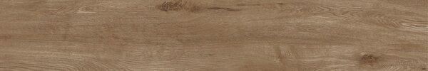 Dlažba Fineza Alpina brown 20x120 cm mat 897120