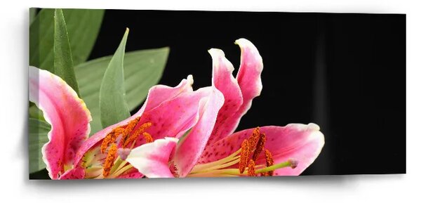 Sablio Obraz Ľalie - 110x50 cm