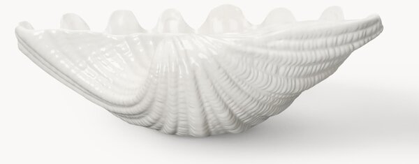 Servírovacia misa Shell