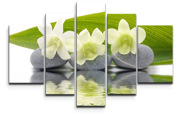Sablio Obraz - 5-dílný Biela orchidea - 125x90 cm