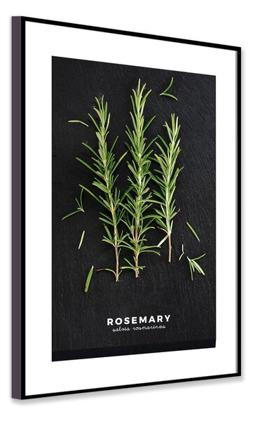 Obraz 50x70 cm Rosemary – Styler