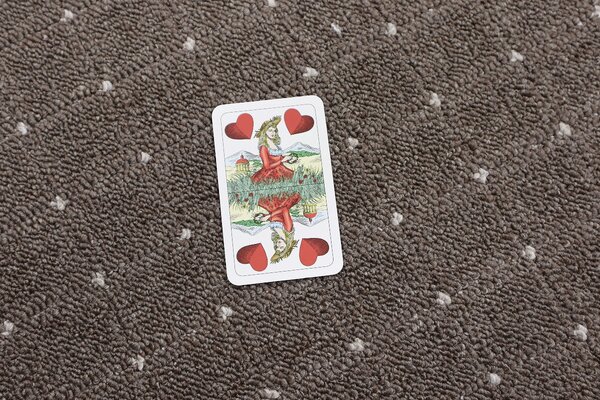 Condor Carpets , Kusový koberec Udinese hnedý štvorec, 150x150, hnedá, chodba / predsieň