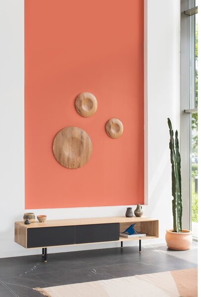 Čierny/v prírodnej farbe TV stolík z dubového dreva 200x48 cm Fina – Gazzda