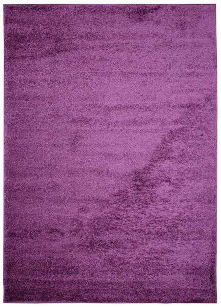 Dizajnový koberec VIOLET - SHAGGY ROZMERY: 120x170