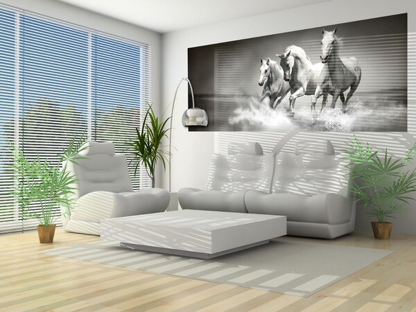 Fototapeta panoramatická vliesová Cválajúca kone