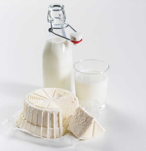 Börner Cheesemaker