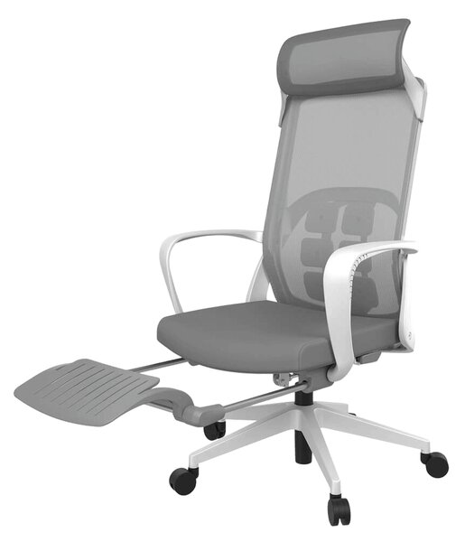 Ergonomická kancelárska stolička Liftor Orca, sivá