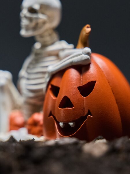 Sinsay - Halloweenska LED dekorácia v tvare kostlivca a tekvice - biela