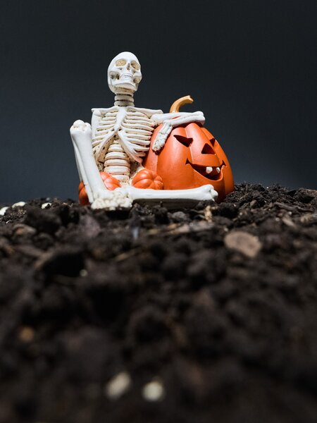 Sinsay - Halloweenska LED dekorácia v tvare kostlivca a tekvice - biela