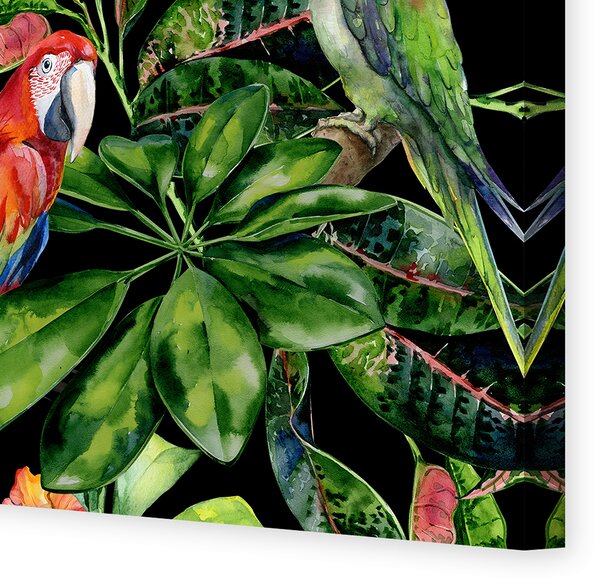 Plátno maľba Tropical Birds