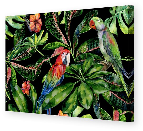 Plátno maľba Tropical Birds