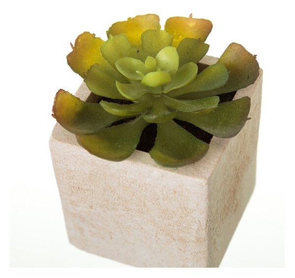 Umelé rastliny v súprave 6 ks (výška 9,5 cm) Cactus – Casa Selección