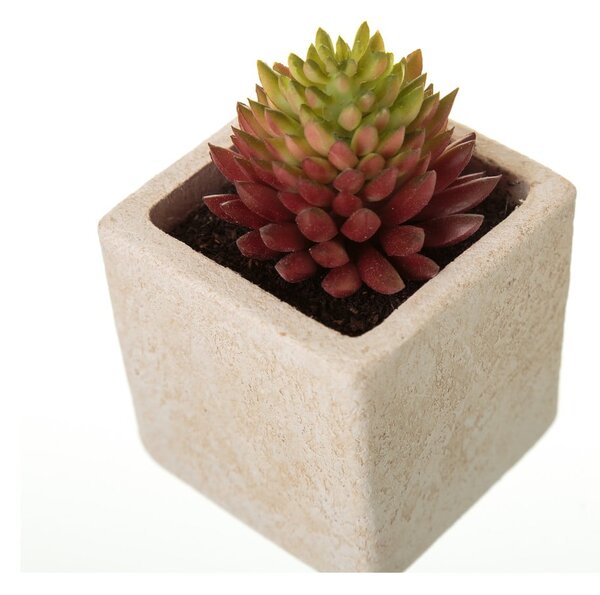 Umelé rastliny v súprave 6 ks (výška 9,5 cm) Cactus – Casa Selección