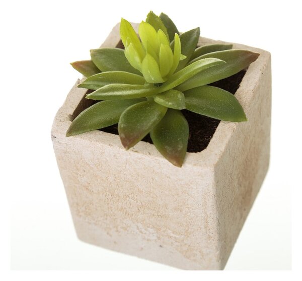 Umelé rastliny v súprave 6 ks (výška 9,5 cm) Cactus – Casa Selección