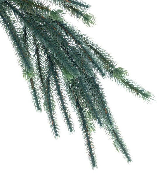 Veniec Pine Tree 18x15x200cm