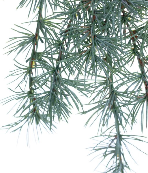 Vetvička Christmas Tree 30x2x60cm light green