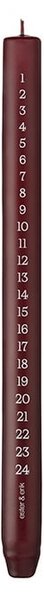 Adventná sviečka Cylindrical 28 cm – 44/2 Deep Wine