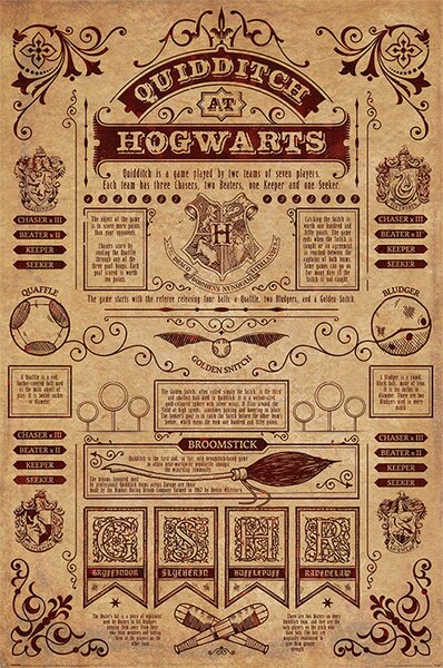 Plagát, Obraz - Harry Potter - Metlobal, (61 x 91.5 cm)