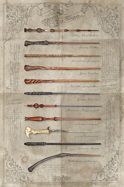 Plagát, Obraz - Harry Potter - The Wand Chooses The Wizard, (61 x 91 cm)