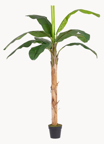 Exteriérová umelá rastlina Banana, V 210 cm