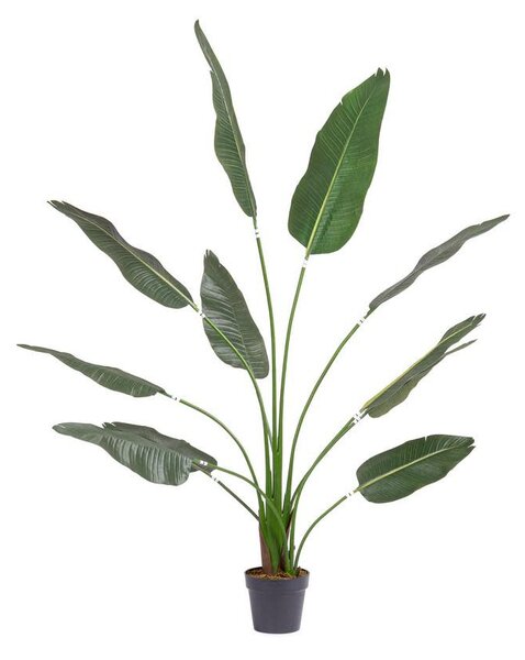 Exteriérová umelá rastlina Strelitzia, V 180 cm