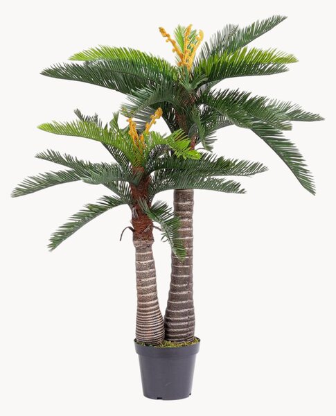 Exteriérová umelá rastlina Cycas, V 150 cm